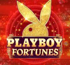 Playboy-Fortunes-Ozawa